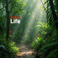 asi06actuallife